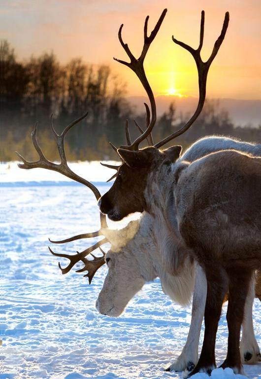 Hotell Funaesdalen Zewnętrze zdjęcie